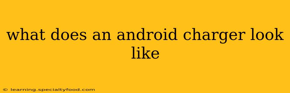 what does an android charger look like