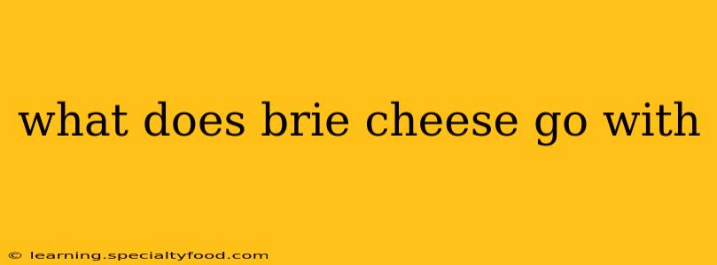 what does brie cheese go with