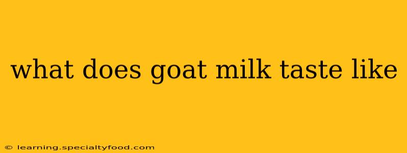 what does goat milk taste like