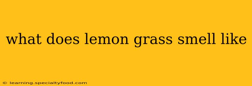 what does lemon grass smell like