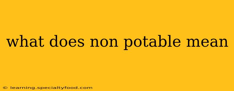 what does non potable mean
