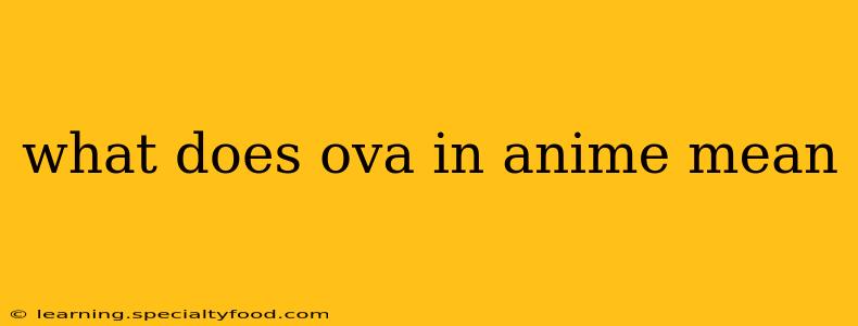 what does ova in anime mean