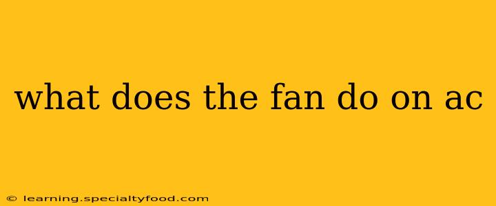 what does the fan do on ac