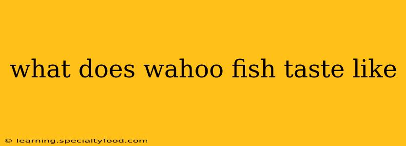 what does wahoo fish taste like