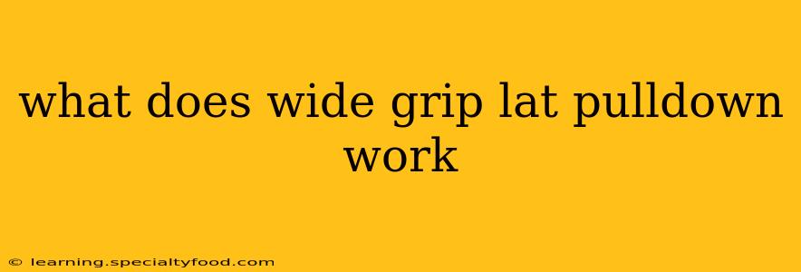 what does wide grip lat pulldown work
