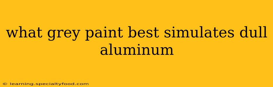what grey paint best simulates dull aluminum