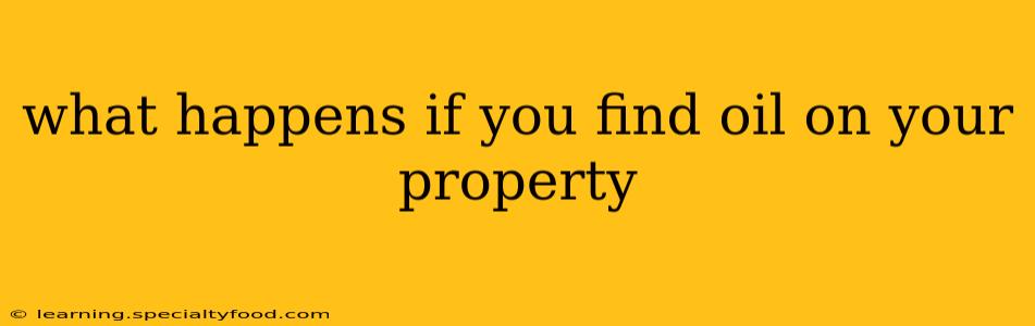 what happens if you find oil on your property