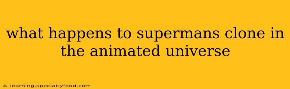 what happens to supermans clone in the animated universe