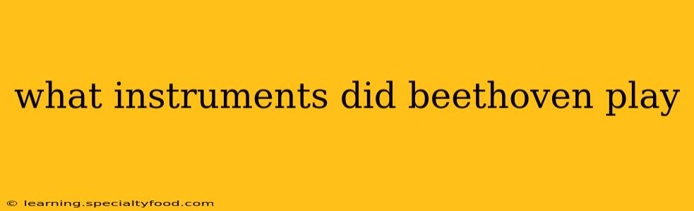 what instruments did beethoven play