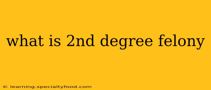 what is 2nd degree felony