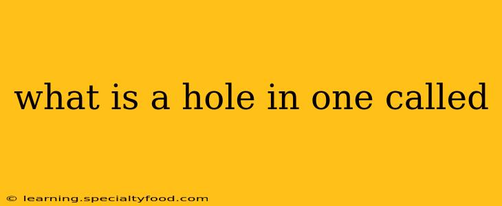 what is a hole in one called