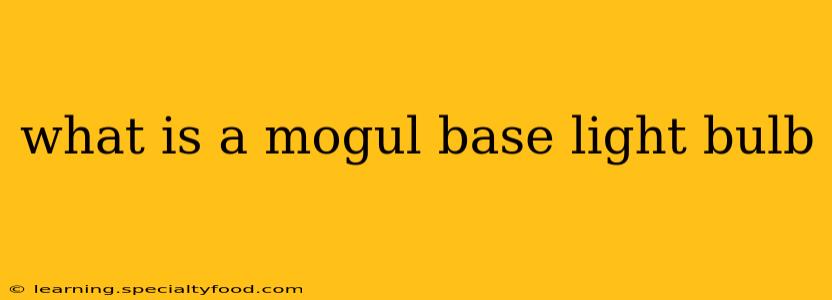 what is a mogul base light bulb