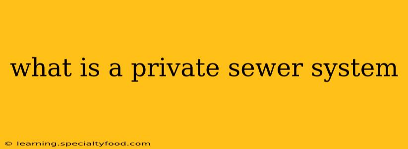 what is a private sewer system