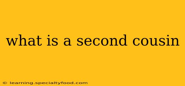 what is a second cousin