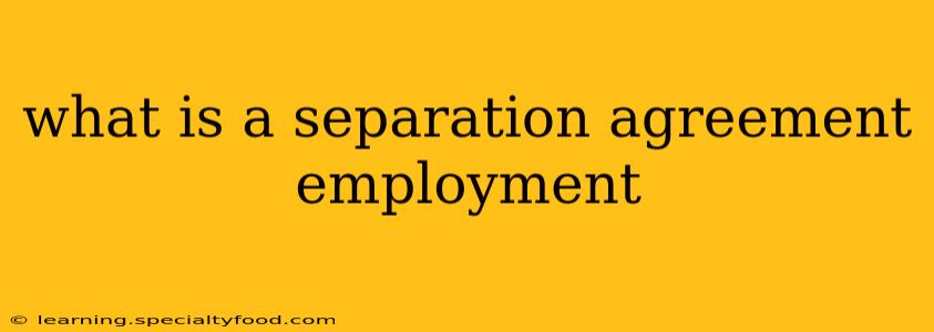 what is a separation agreement employment