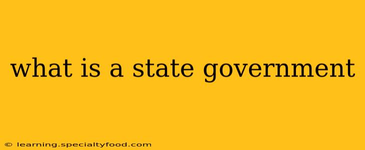 what is a state government