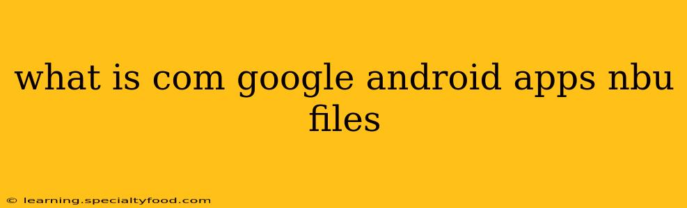 what is com google android apps nbu files