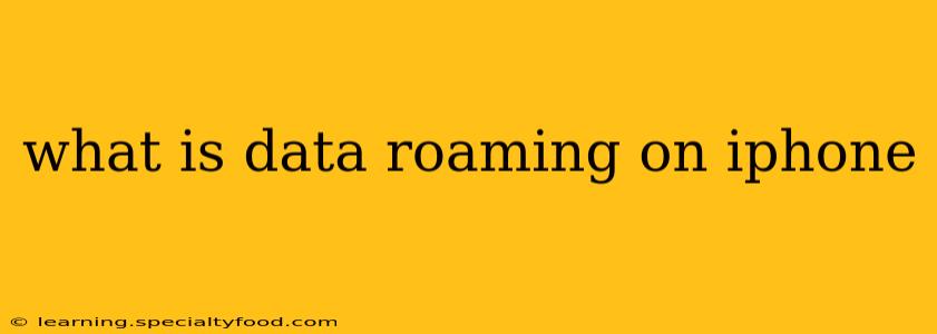 what is data roaming on iphone