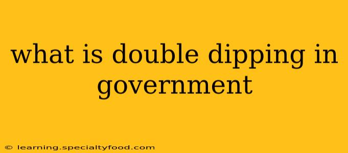 what is double dipping in government