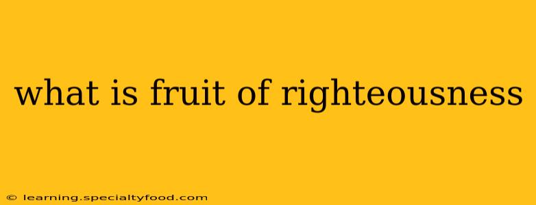 what is fruit of righteousness