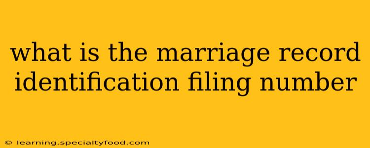 what is the marriage record identification filing number
