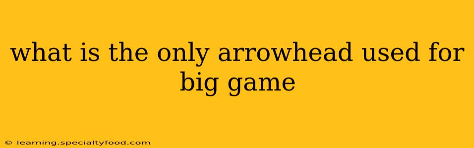 what is the only arrowhead used for big game