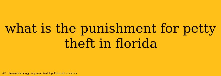 what is the punishment for petty theft in florida