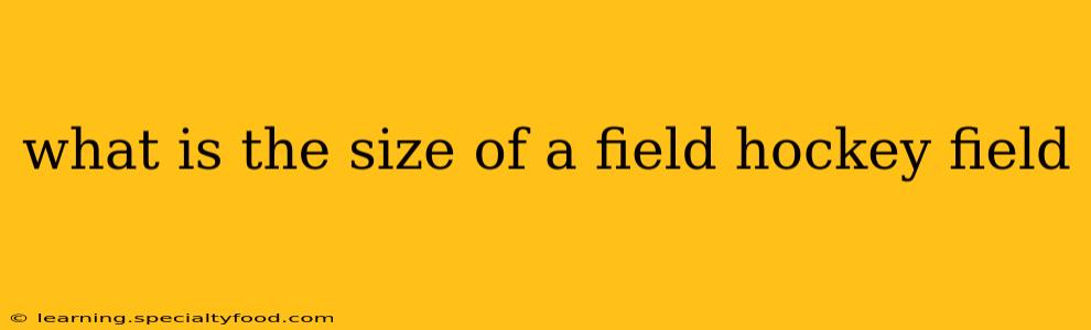 what is the size of a field hockey field