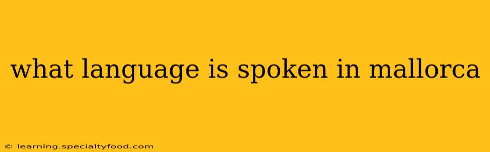 what language is spoken in mallorca
