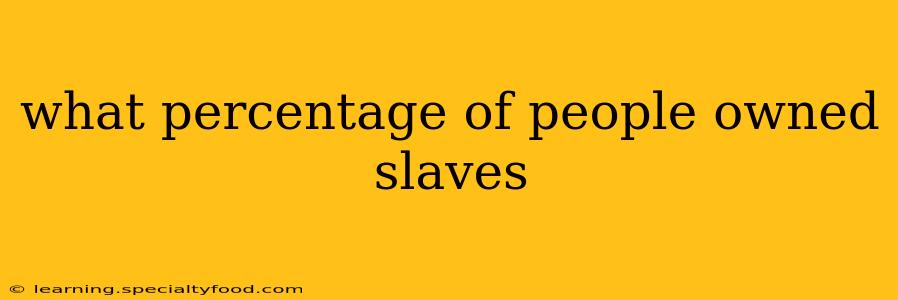 what percentage of people owned slaves