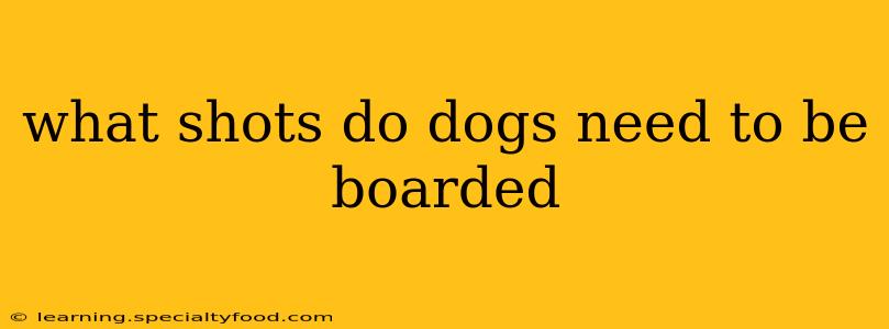 what shots do dogs need to be boarded