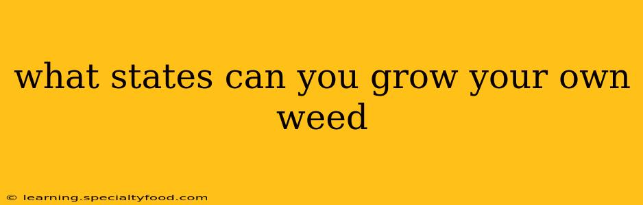 what states can you grow your own weed