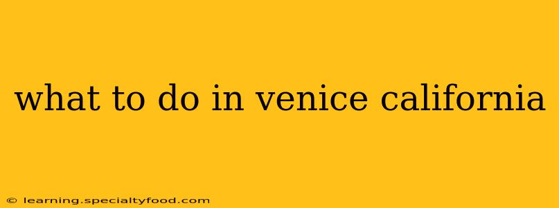 what to do in venice california