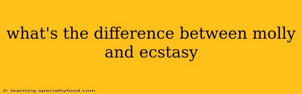 what's the difference between molly and ecstasy