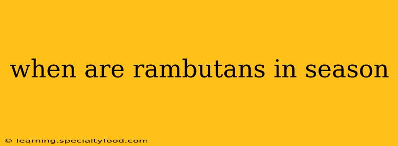 when are rambutans in season