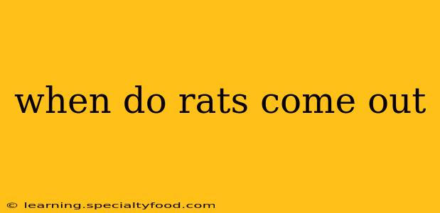 when do rats come out