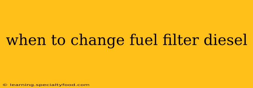 when to change fuel filter diesel