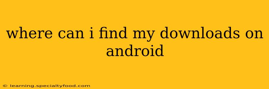 where can i find my downloads on android