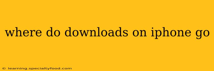 where do downloads on iphone go