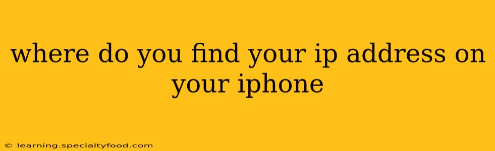 where do you find your ip address on your iphone