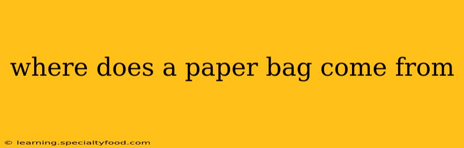 where does a paper bag come from