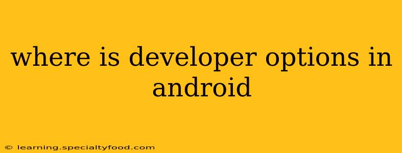 where is developer options in android