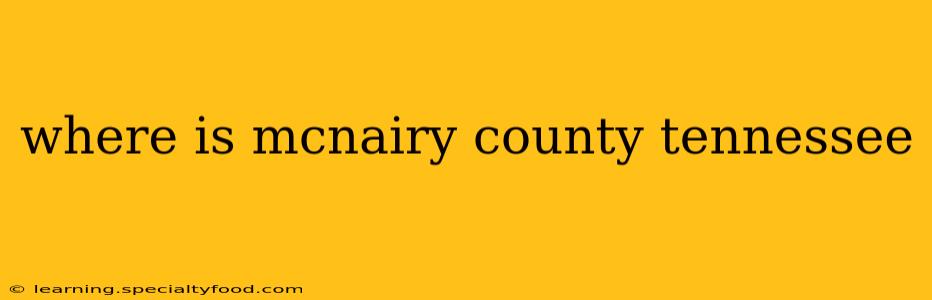 where is mcnairy county tennessee
