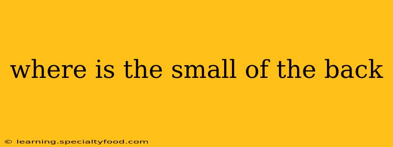 where is the small of the back
