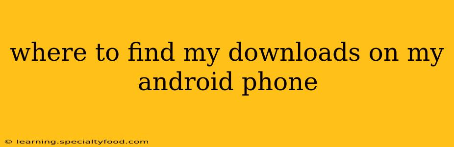 where to find my downloads on my android phone