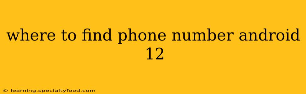 where to find phone number android 12