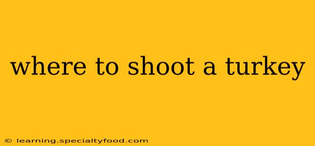 where to shoot a turkey