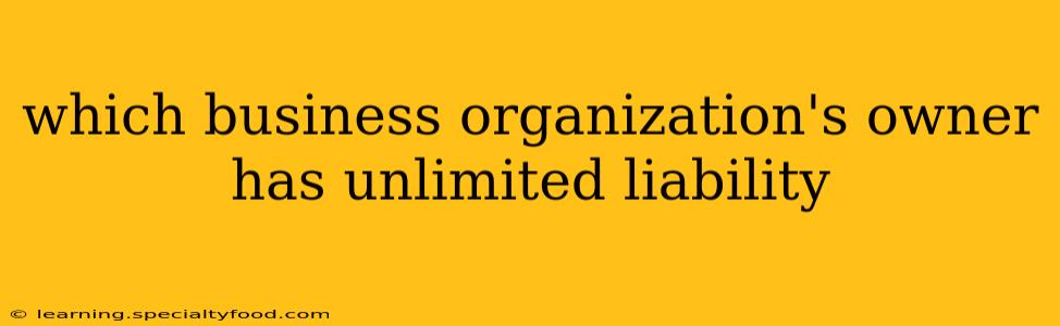 which business organization's owner has unlimited liability