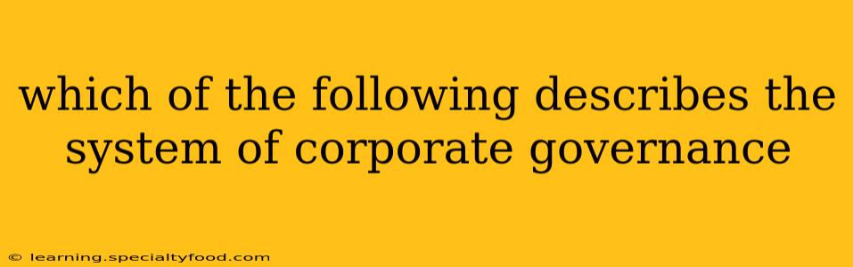 which of the following describes the system of corporate governance