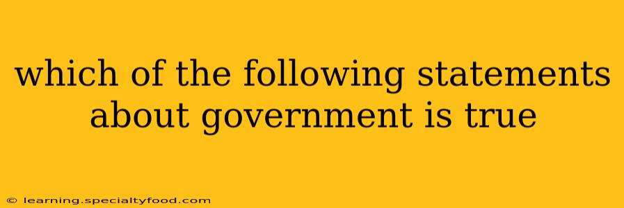 which of the following statements about government is true